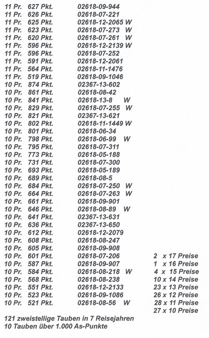 beste tauben3