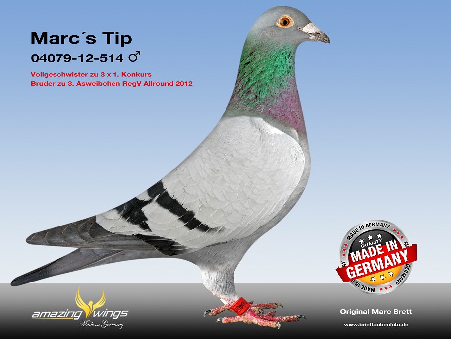 marc tip